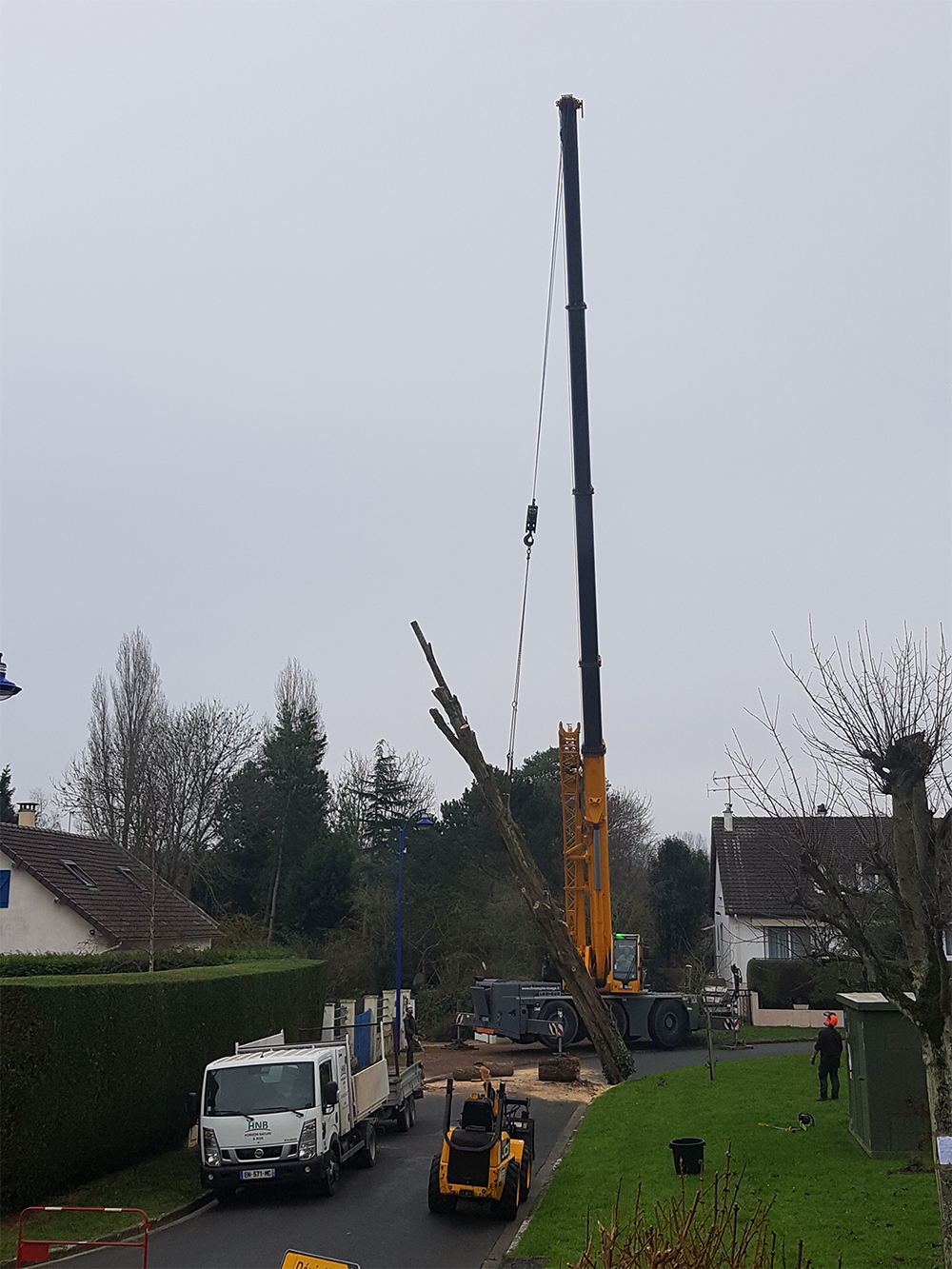 Lire la suite à propos de l’article Abattage de 2 peupliers devenus dangereux suite au dernières tempêtes, intervention à la grue